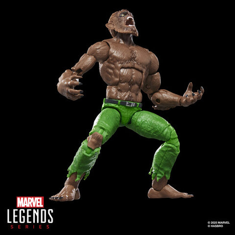 Hasbro Collectibles - Marvel Comics - Marvel Legends - Werewolf by Night Action Figure