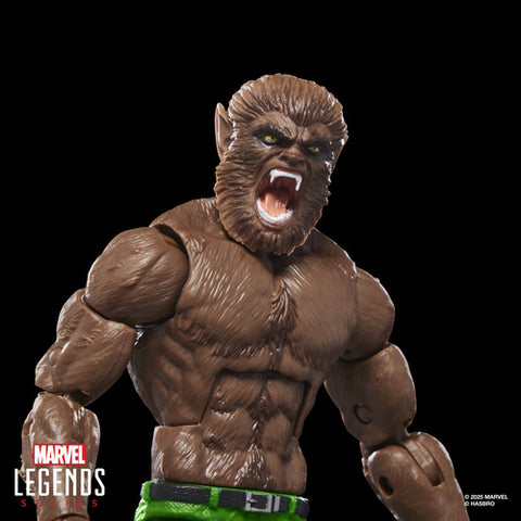 Hasbro Collectibles - Marvel Comics - Marvel Legends - Werewolf by Night Action Figure